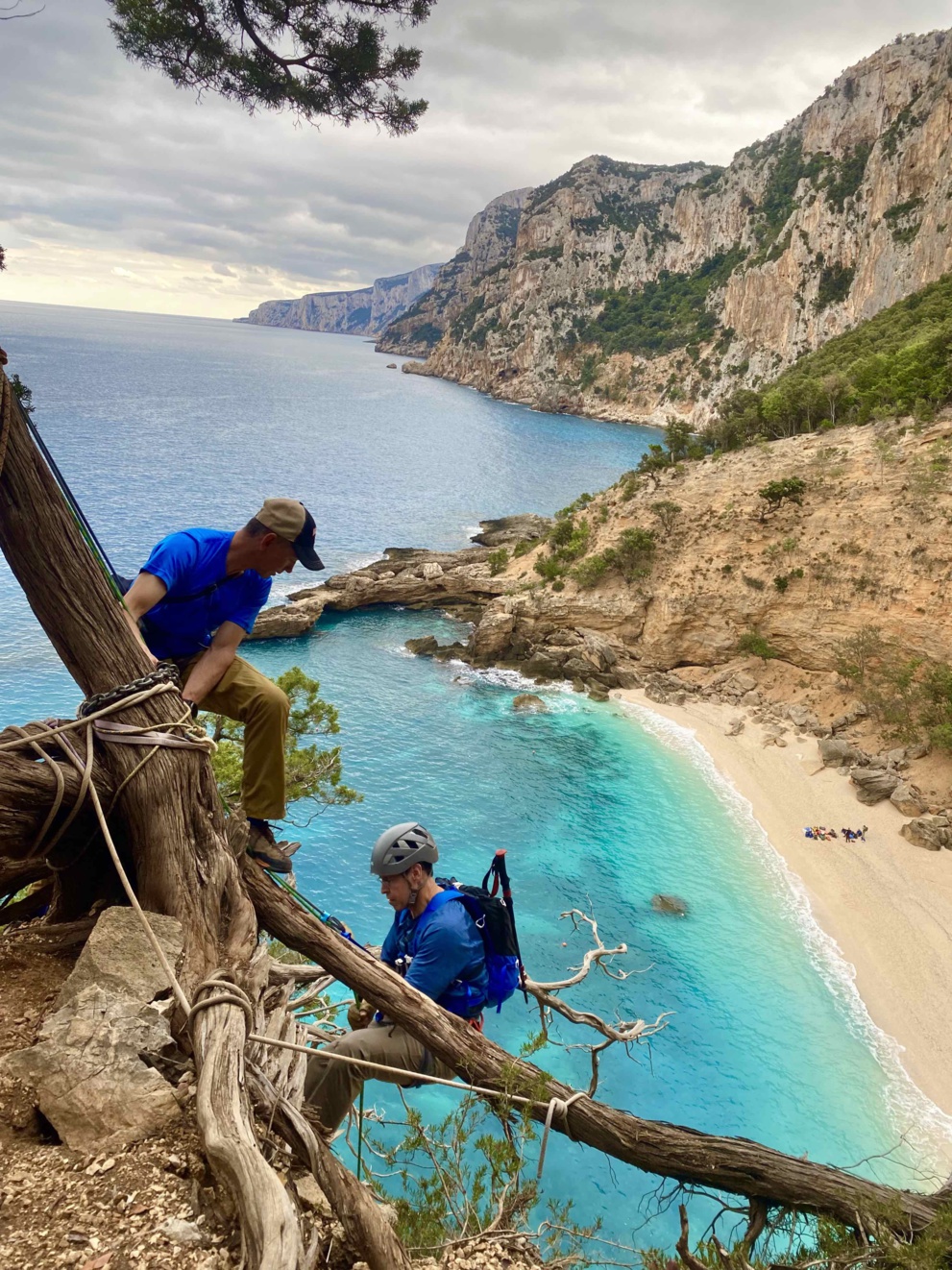 Selvaggio Blu version sportive