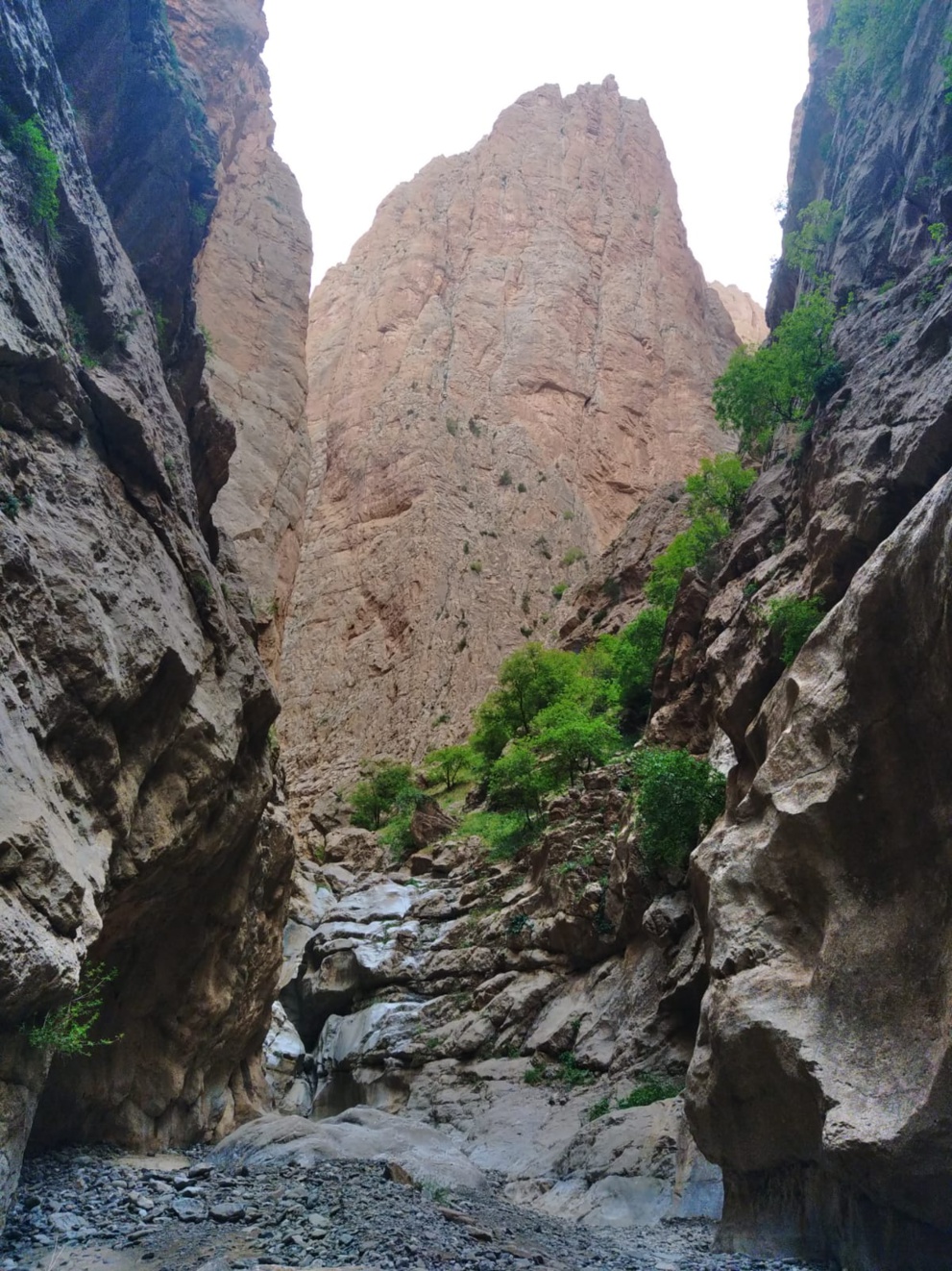 Escalade au Maroc à Taghia Escalade au Maroc à Taghia